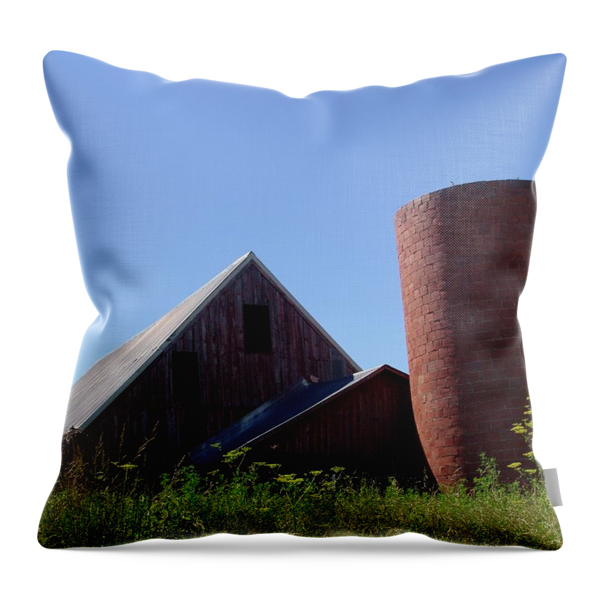 Silo Throw Pillow featuring the photograph Barn and Silo 2123 by Kathryn Cornett