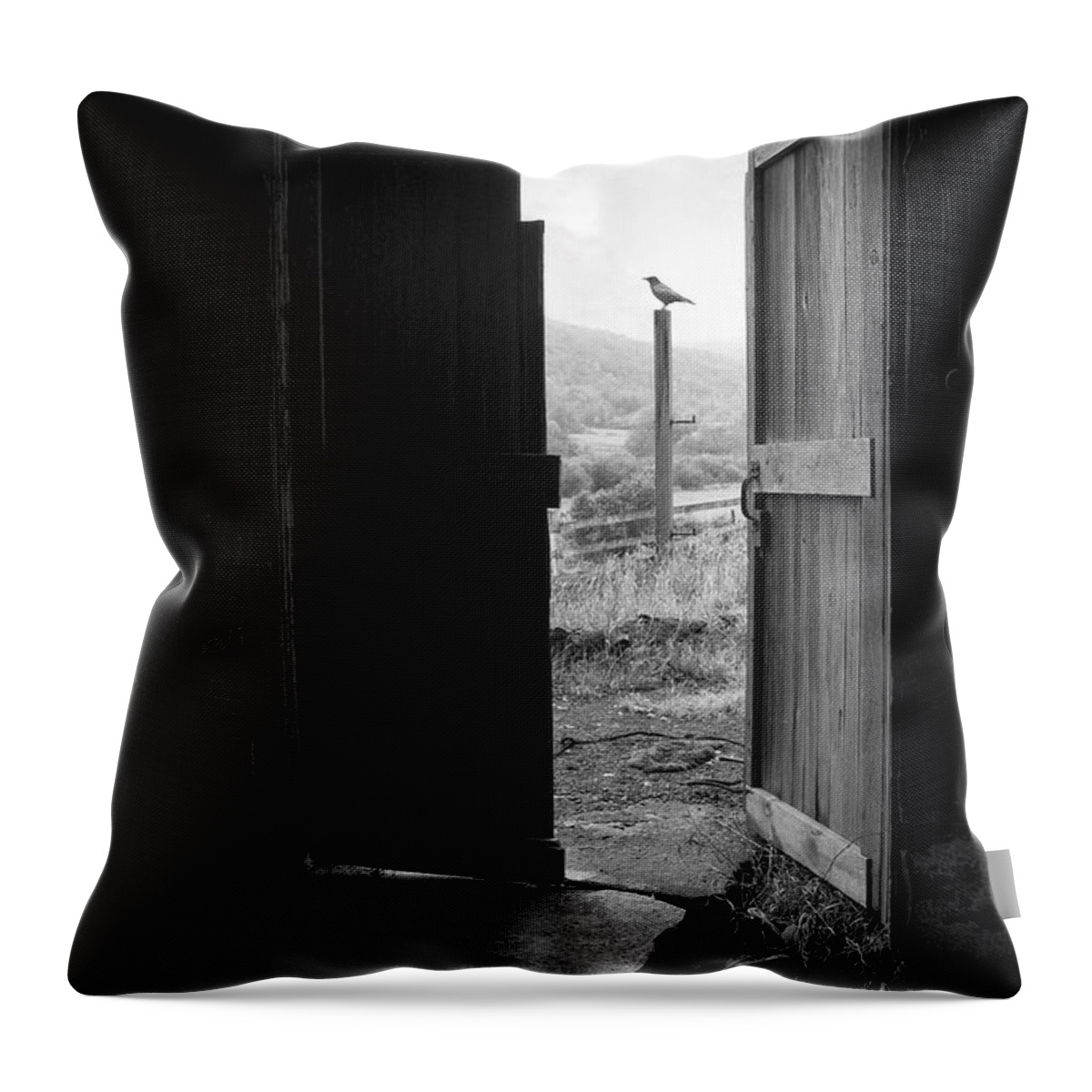 Black And White Throw Pillow featuring the photograph Barn Door - View from within - Old barn picture by Gary Heller
