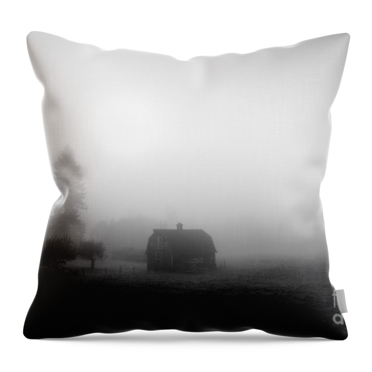 Agriculture Throw Pillow featuring the photograph Barn in field sunrise by Jim Corwin
