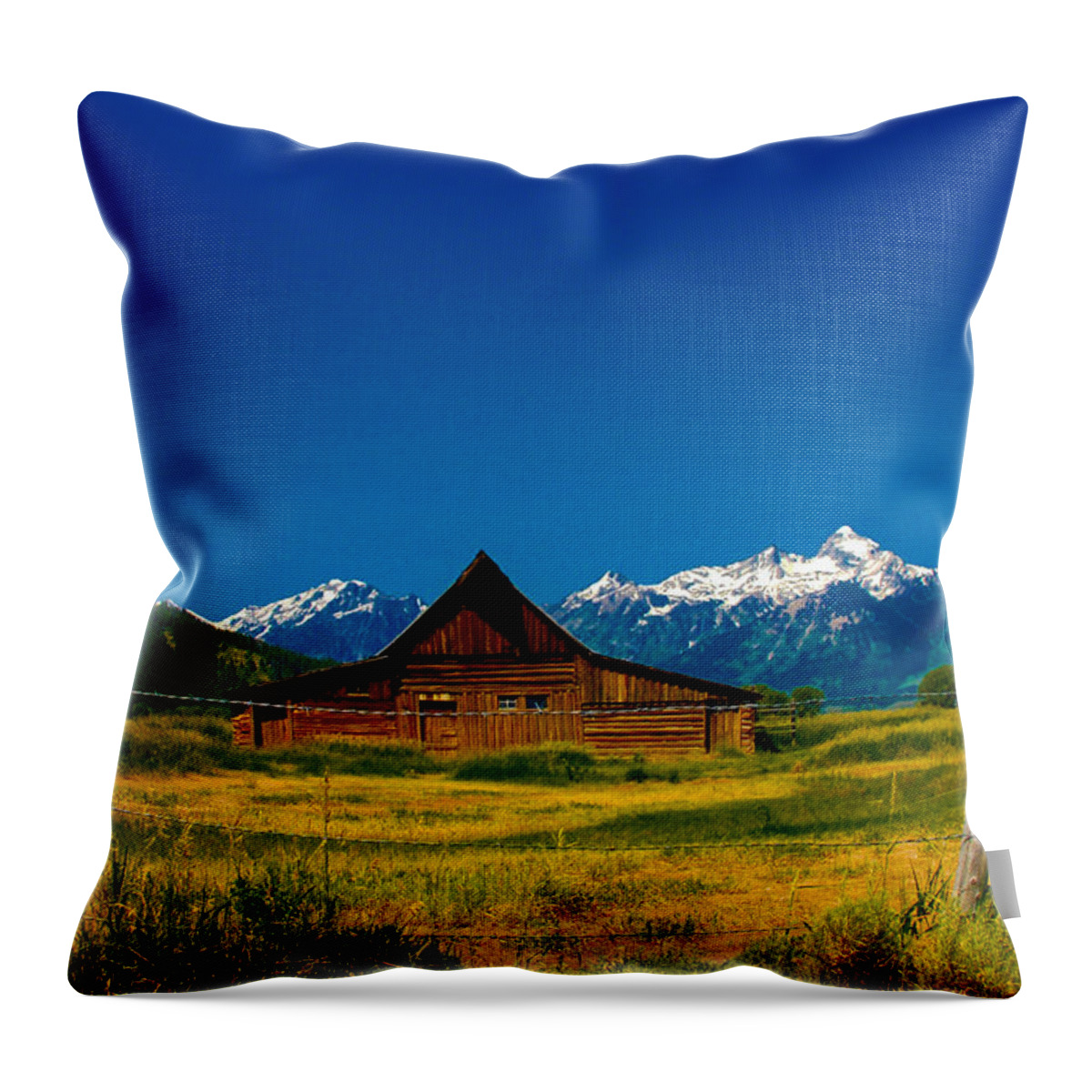 Nature Throw Pillow featuring the photograph Barn in Grand Teton by Dany Lison