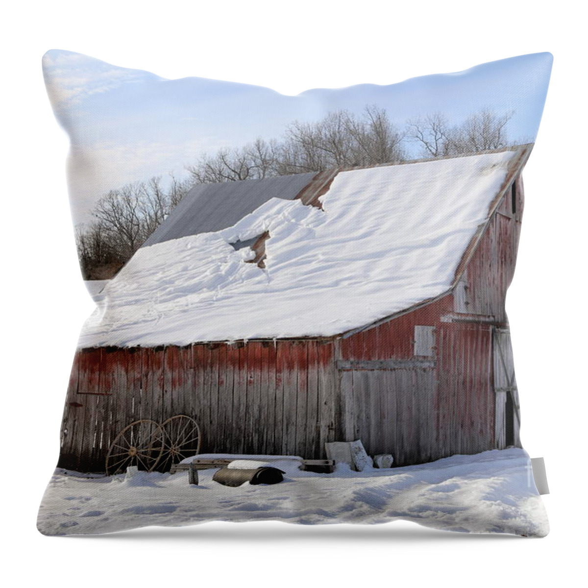 Barn Throw Pillow featuring the photograph Barn in Kentucky no 15 by Dwight Cook