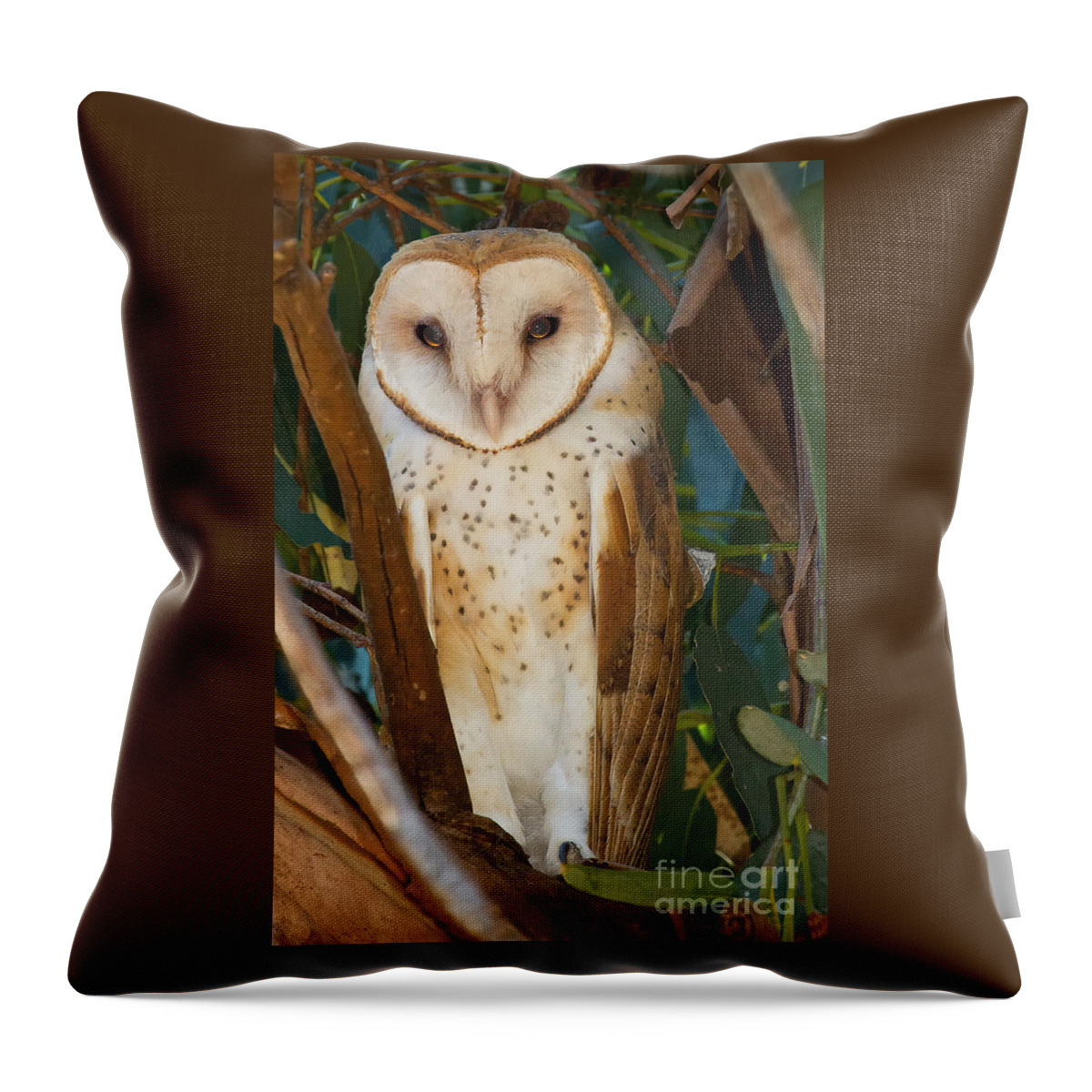 Bird Throw Pillow featuring the photograph Barn Owl by Alice Cahill