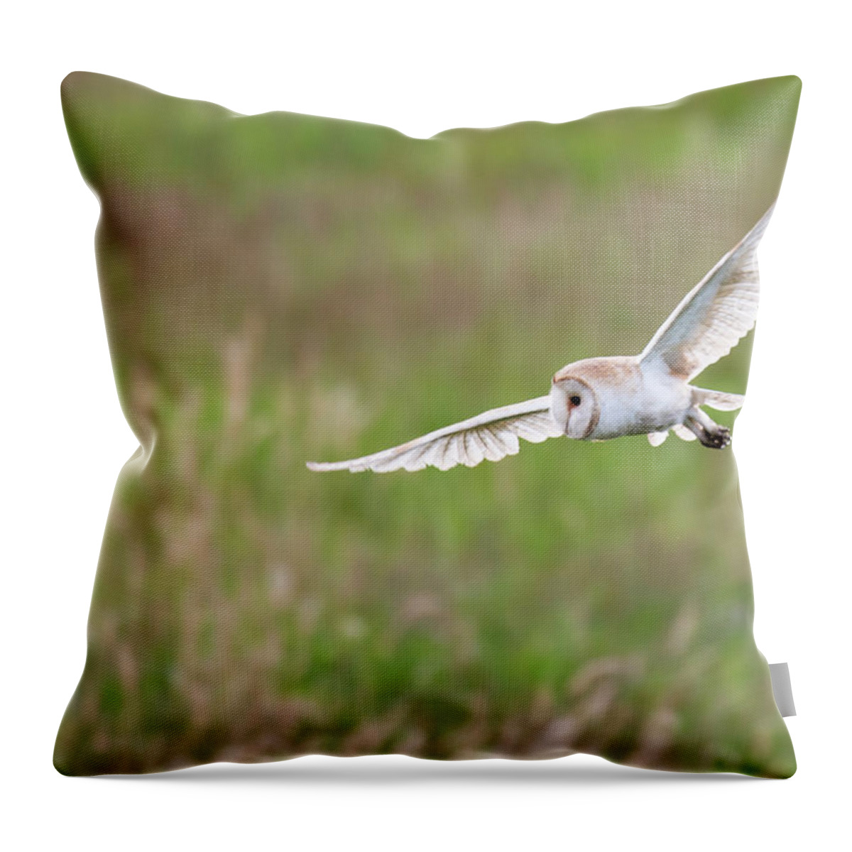 Grass Throw Pillow featuring the photograph Barn Owl In Flight Wild by James Warwick