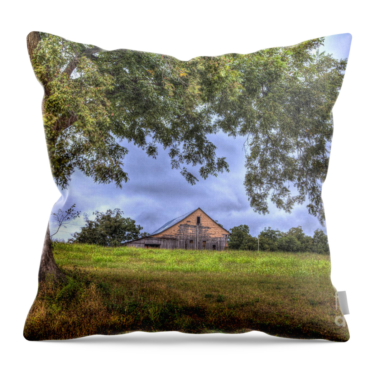 2013 Throw Pillow featuring the photograph Barn under a tree. by Larry Braun