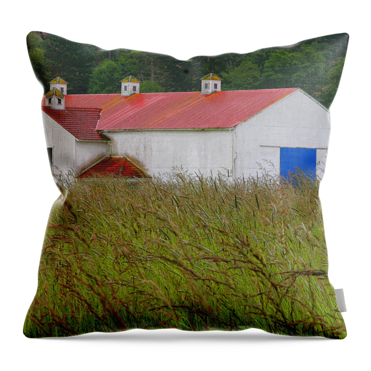 San Juan Island Throw Pillow featuring the photograph Barn with Blue Door by Art Block Collections