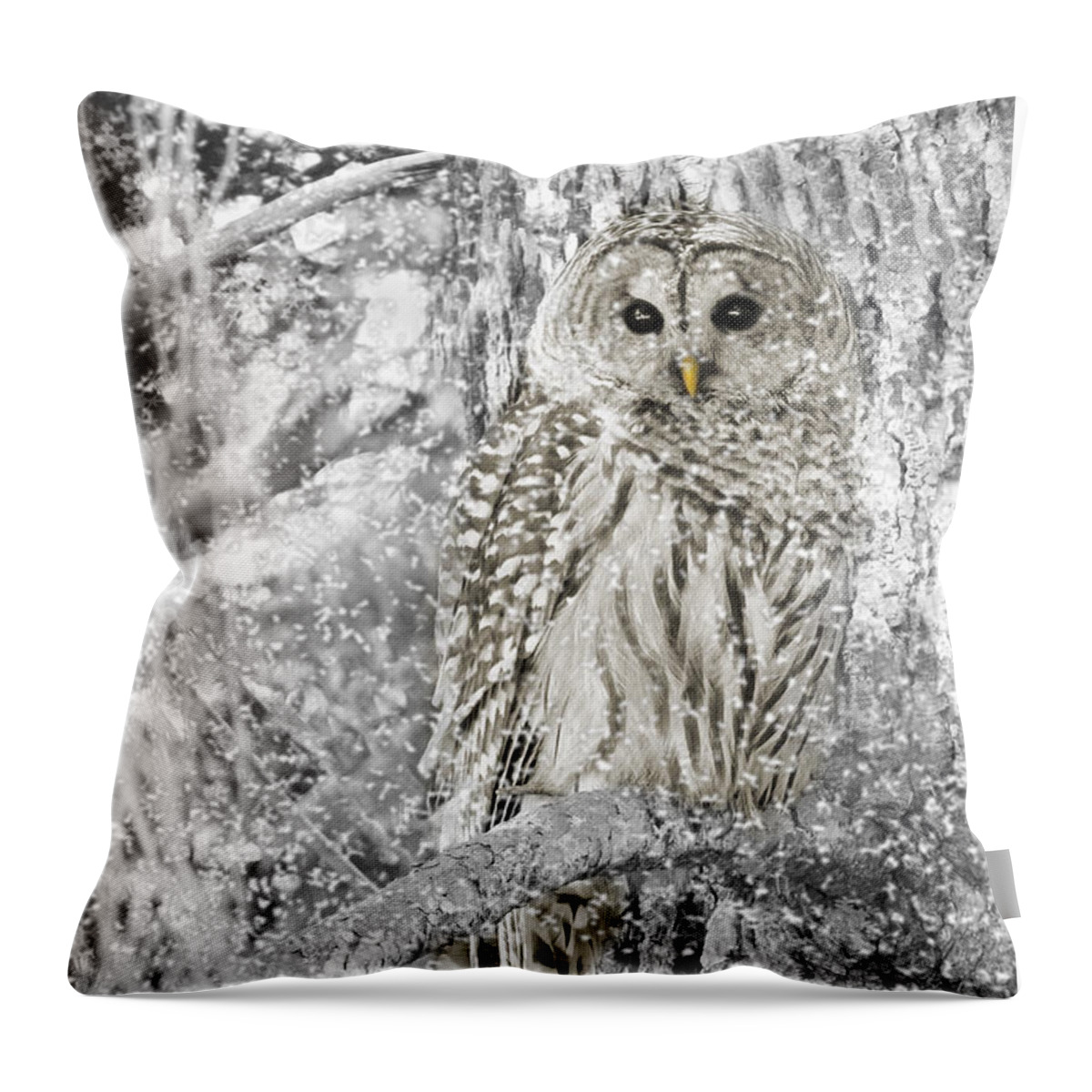 Owl Throw Pillow featuring the photograph Barred Owl Snowy Day in the Forest by Jennie Marie Schell