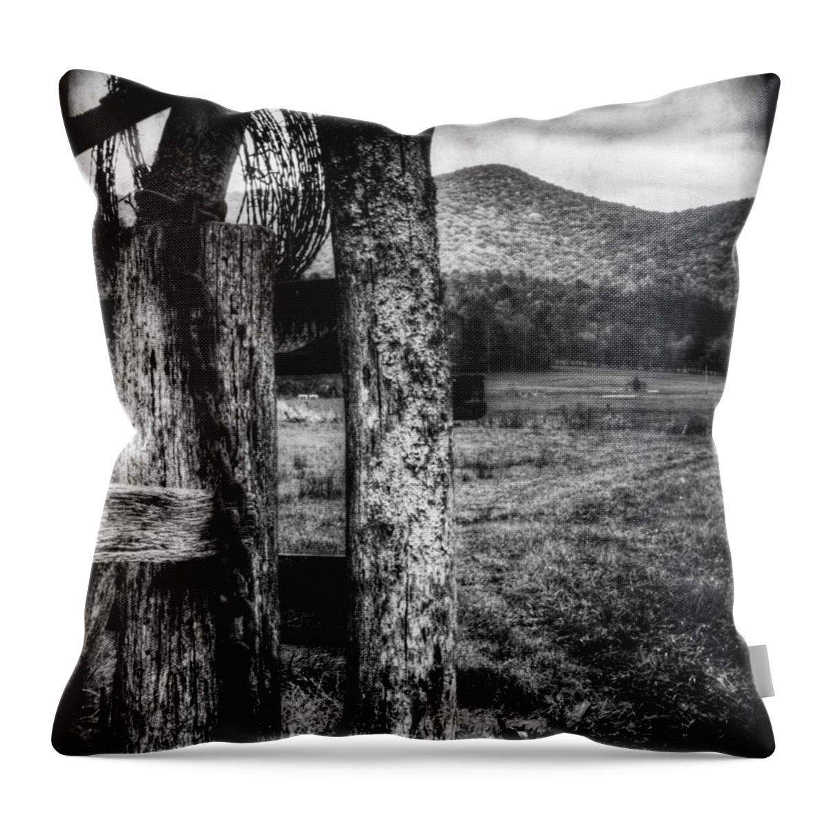 Hope Throw Pillow featuring the photograph Barrier by Greg and Chrystal Mimbs