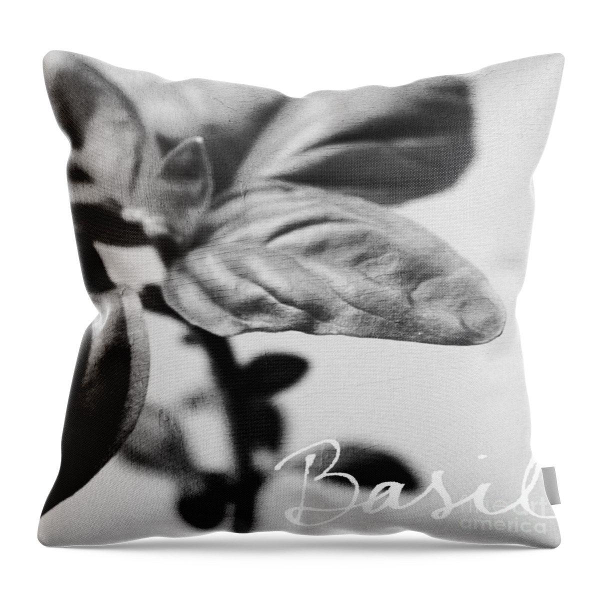Basil Throw Pillow featuring the mixed media Basil by Linda Woods