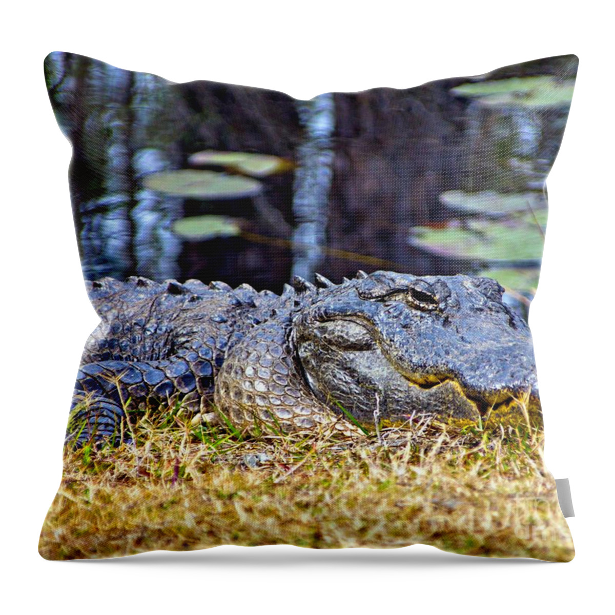 Alligator Throw Pillow featuring the photograph Basking Gator by Southern Photo