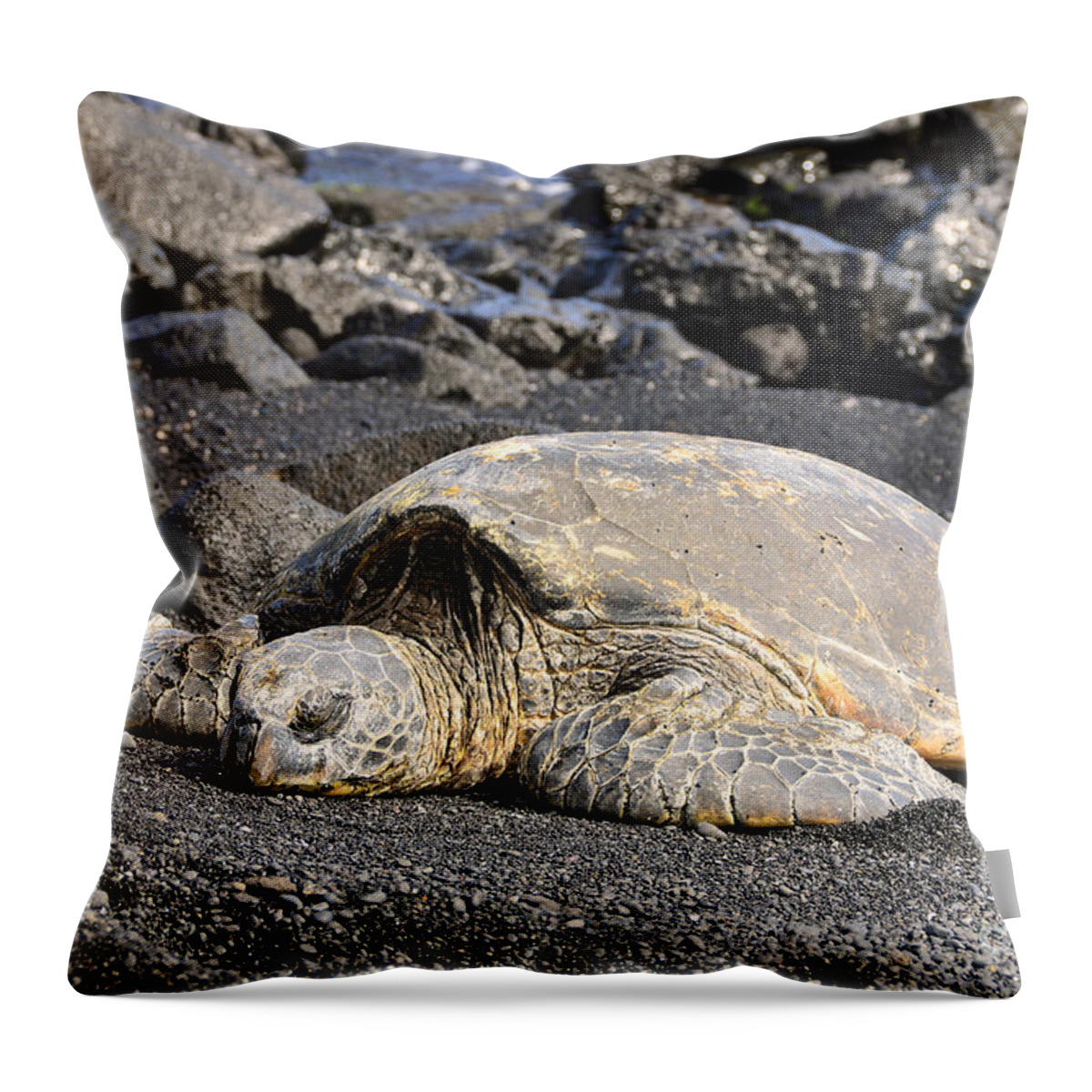 Turtle Throw Pillow featuring the photograph Basking in the Sun by David Lawson