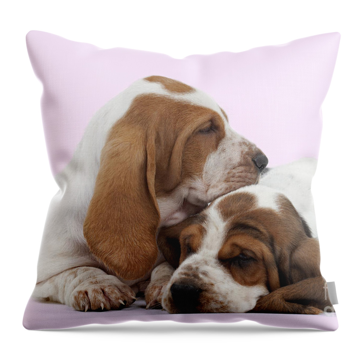 Dog Throw Pillow featuring the photograph Basset Hound Puppies by Jean-Michel Labat
