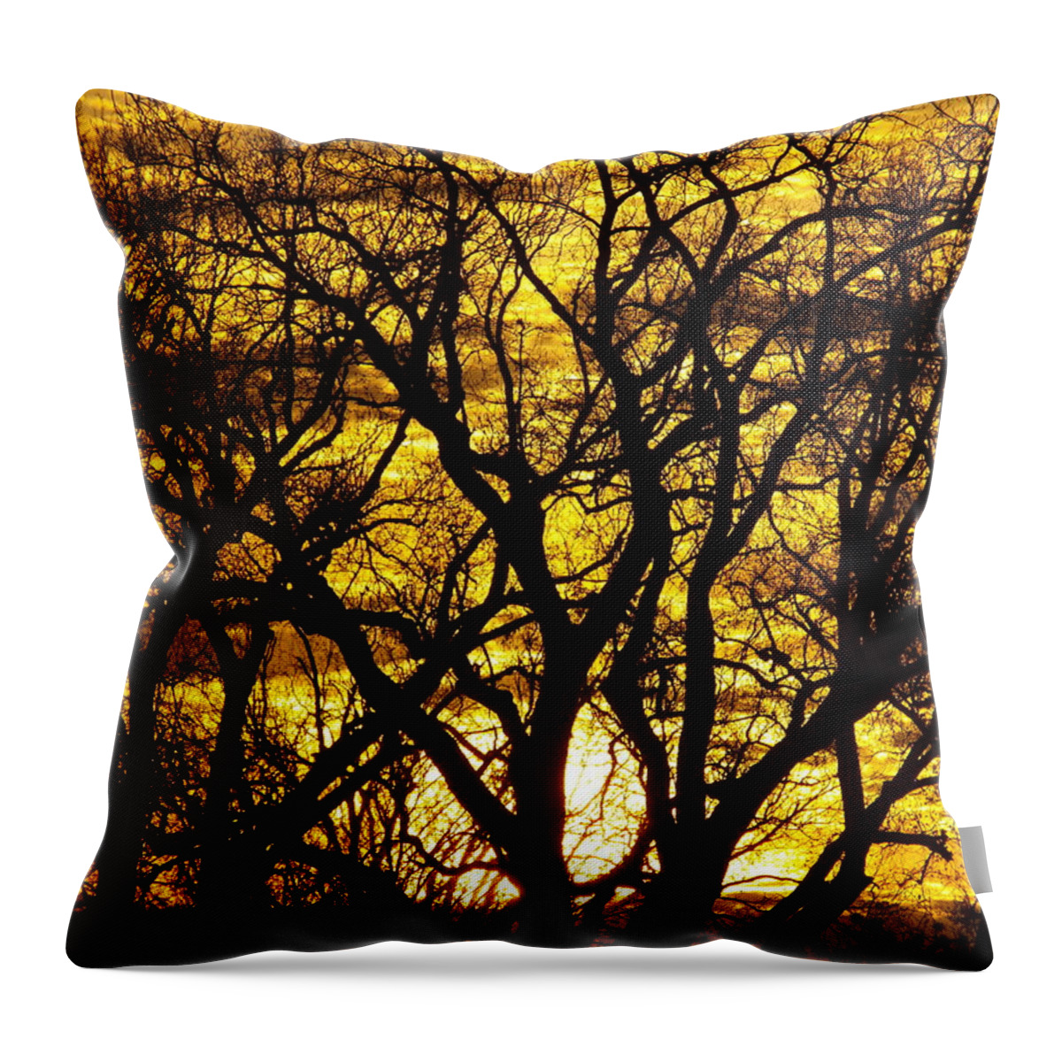 Sunset Throw Pillow featuring the photograph Bastrop Sunset by James Granberry