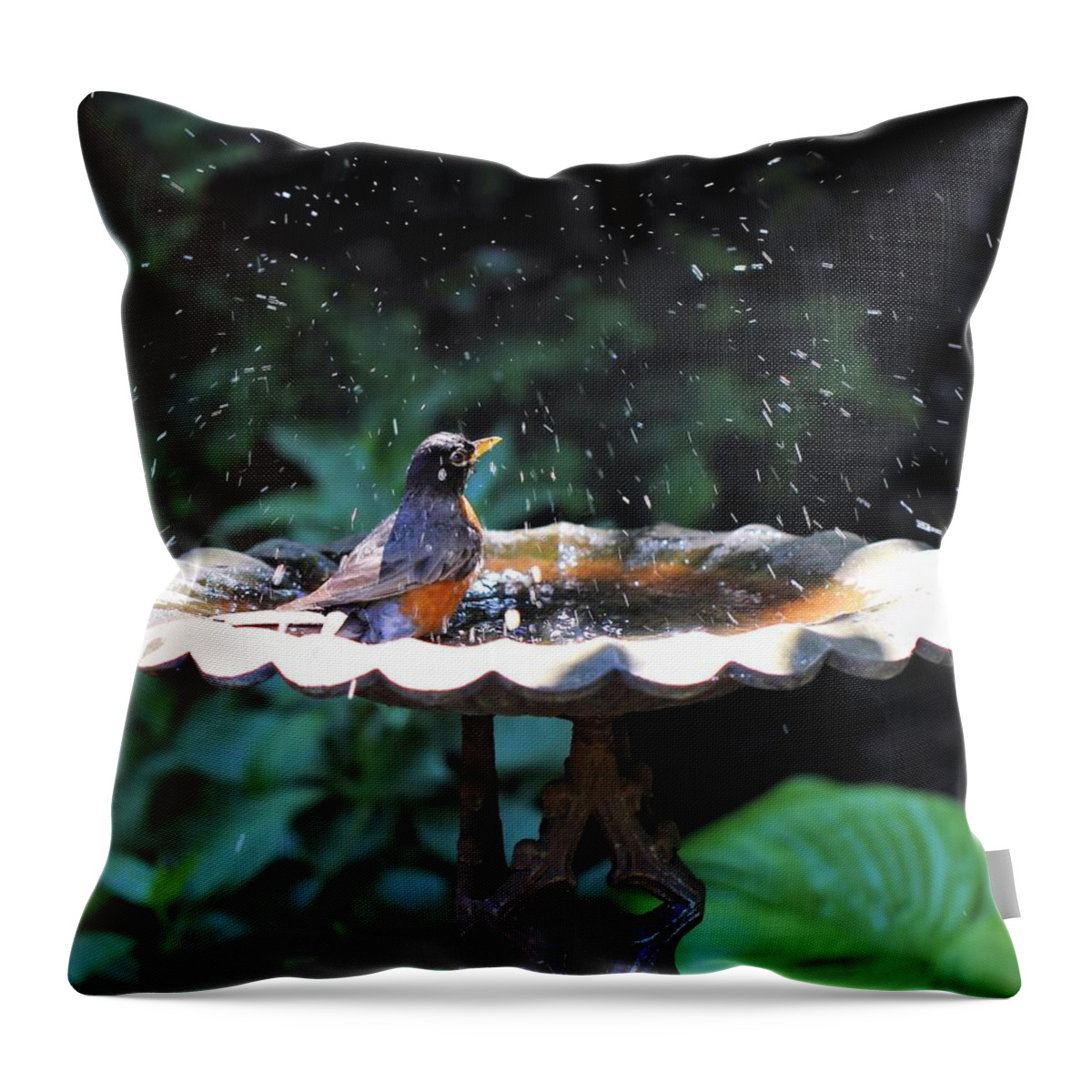 American Robin Throw Pillow featuring the photograph Bath Time by Katherine White
