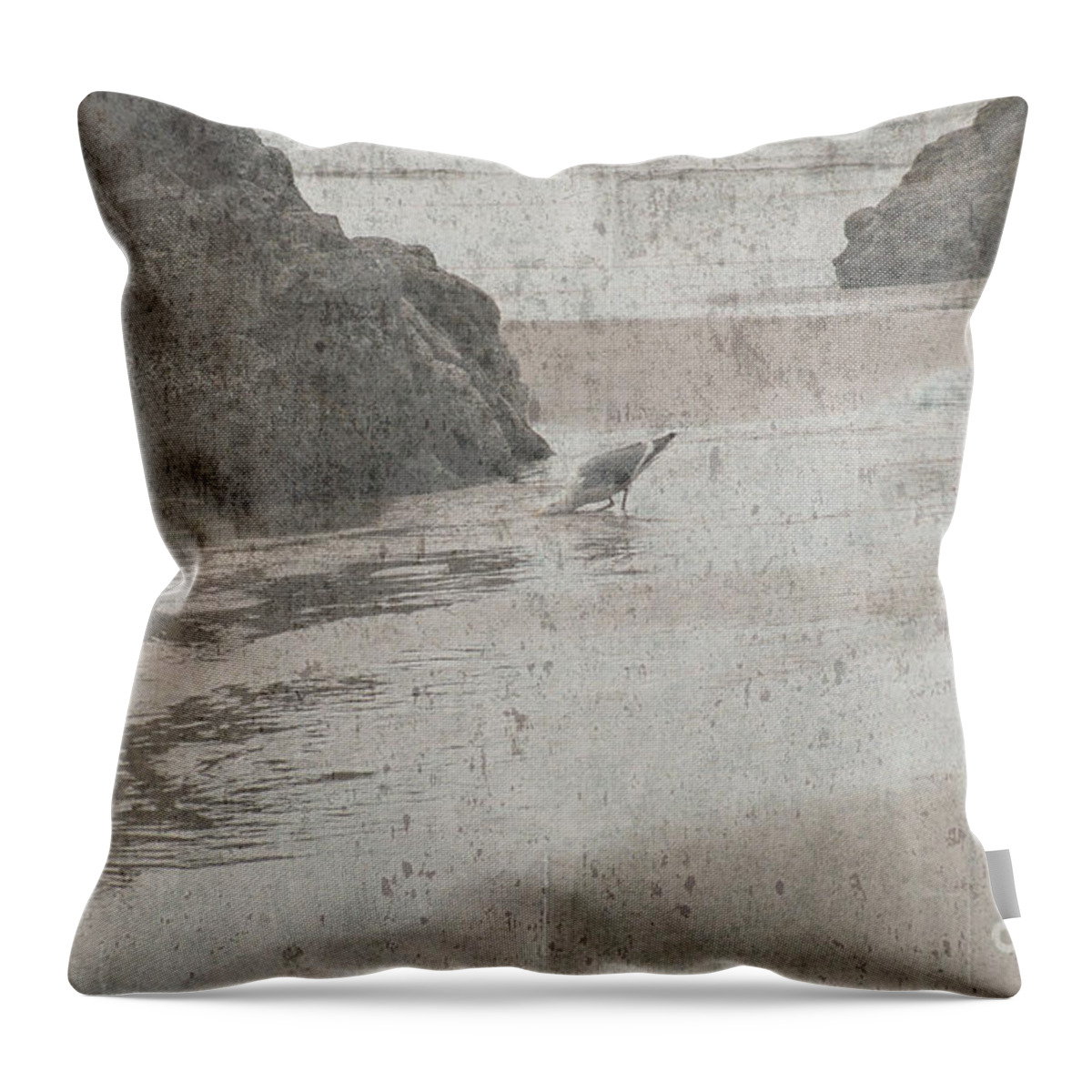 Cannon Beach Throw Pillow featuring the photograph Bathing Gull Texture by Sharon Elliott