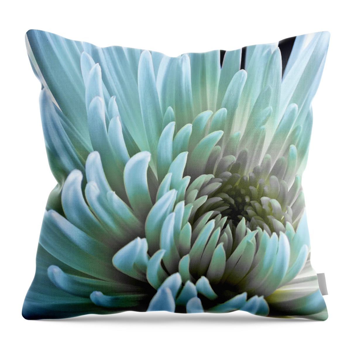 Acrylic Throw Pillow featuring the photograph Bathing in Blue by Jon Glaser