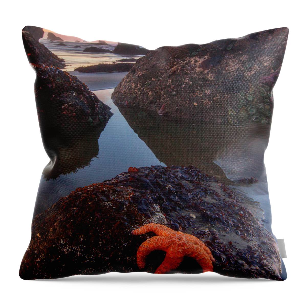 Southern Oregon Coast Throw Pillow featuring the photograph Battle Rock Sunrise by Darren White