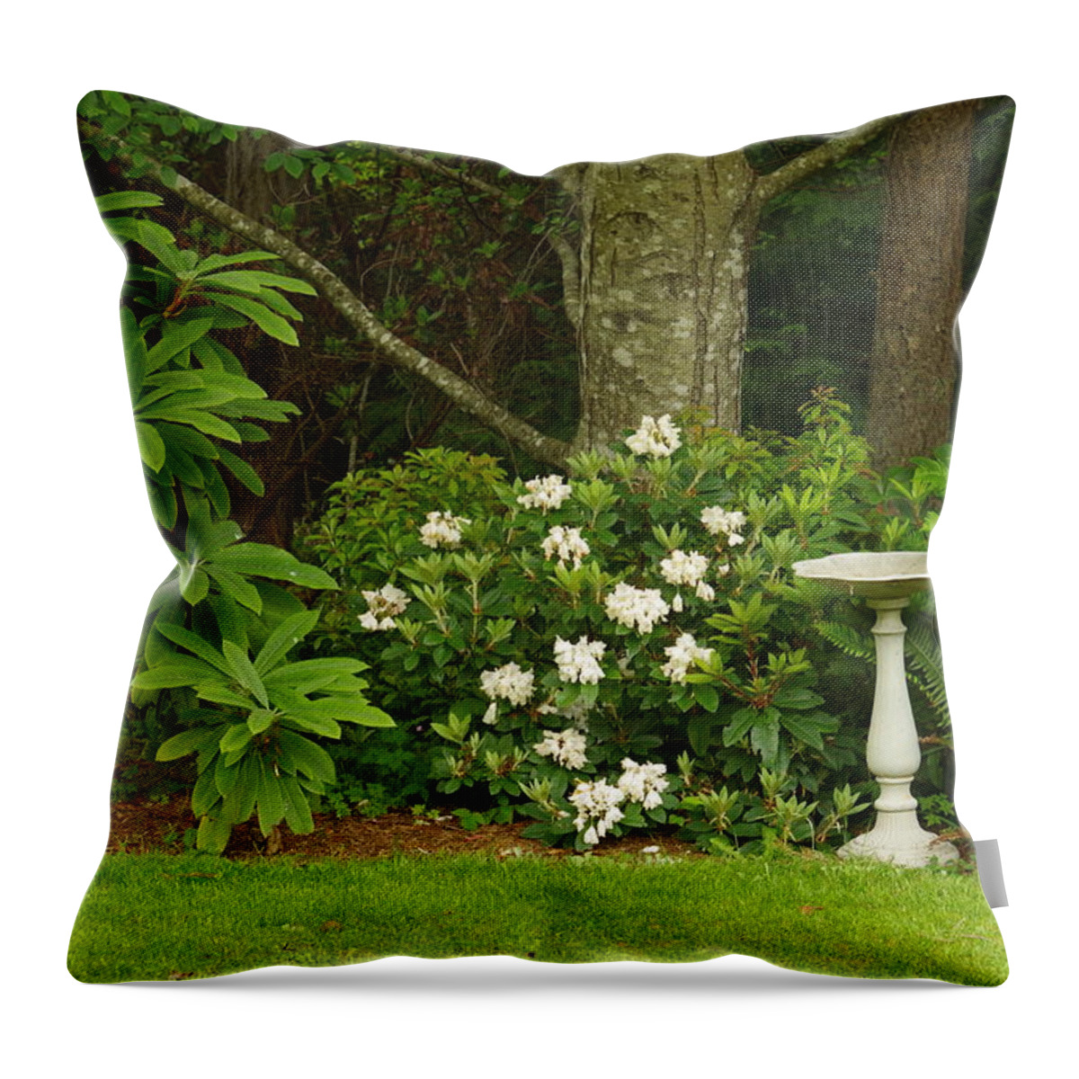 Natural Garden Throw Pillow featuring the photograph Backyard Garden by Marilyn Wilson