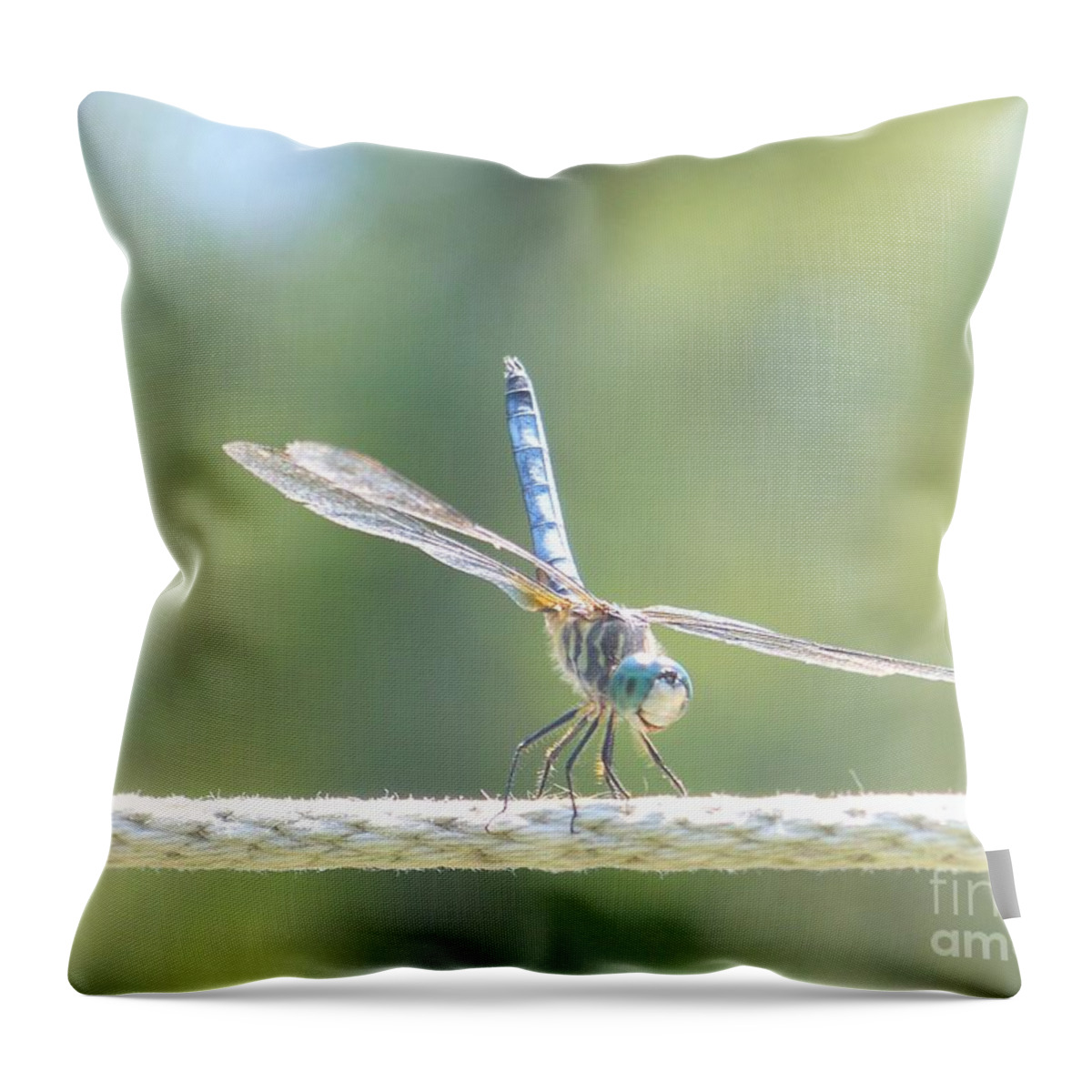 Macro Throw Pillow featuring the photograph Smiling Dragonfly by Eunice Miller