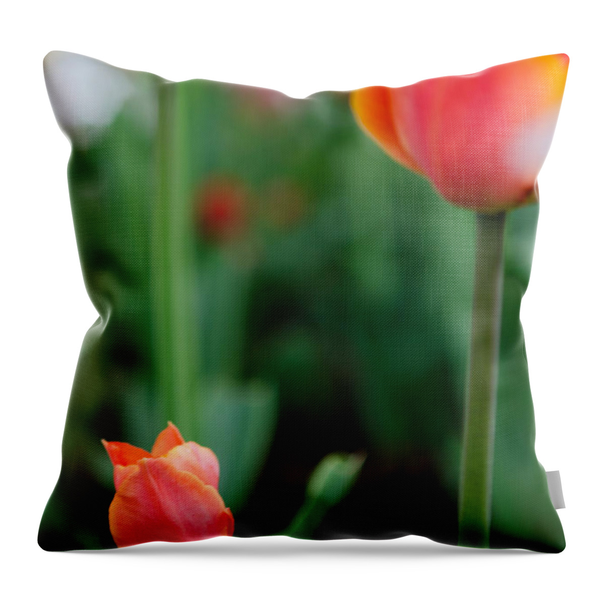 Tulip Throw Pillow featuring the photograph Be Like Mom by Kathy Paynter