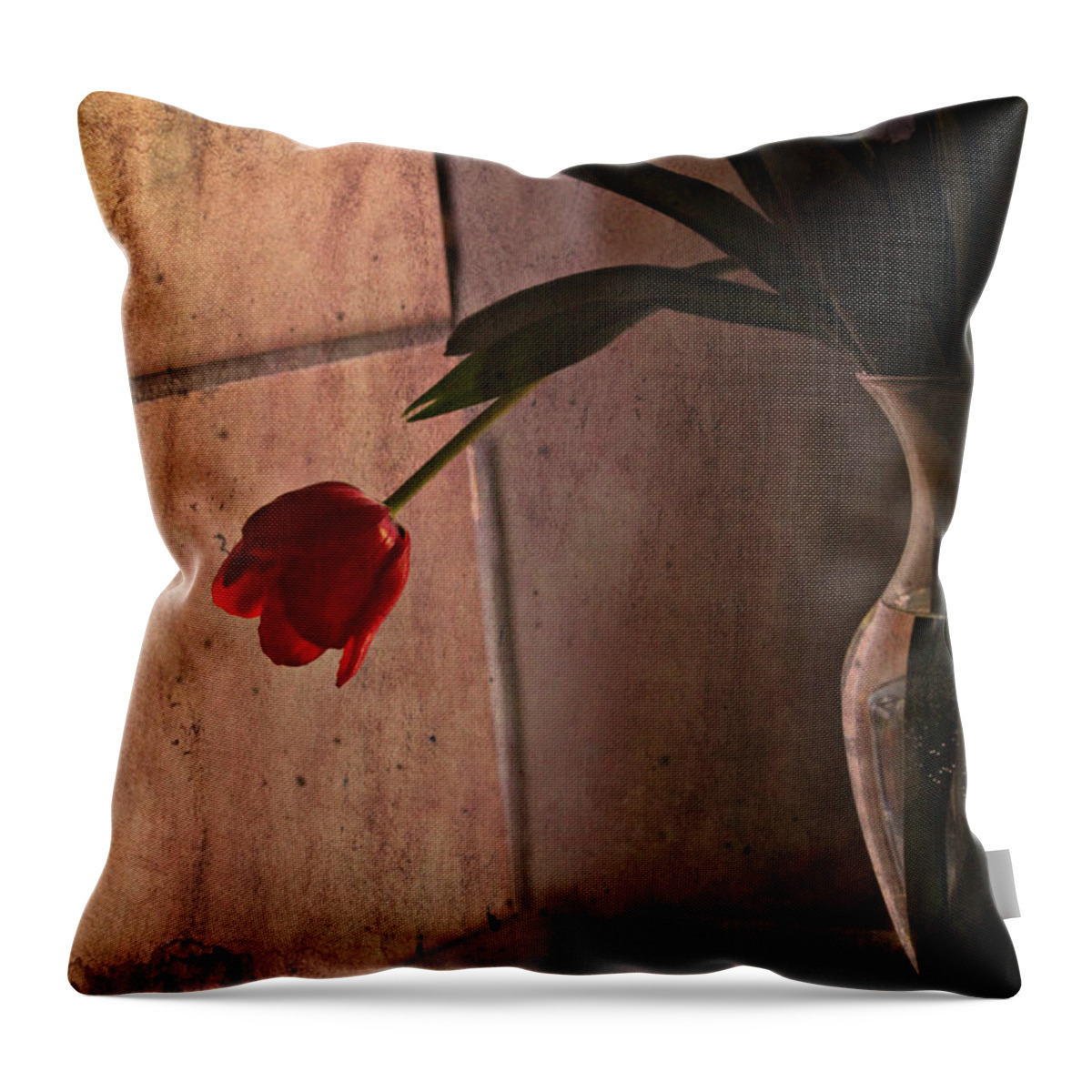 Valentine Throw Pillow featuring the photograph Be My Valentine by KATIE Vigil