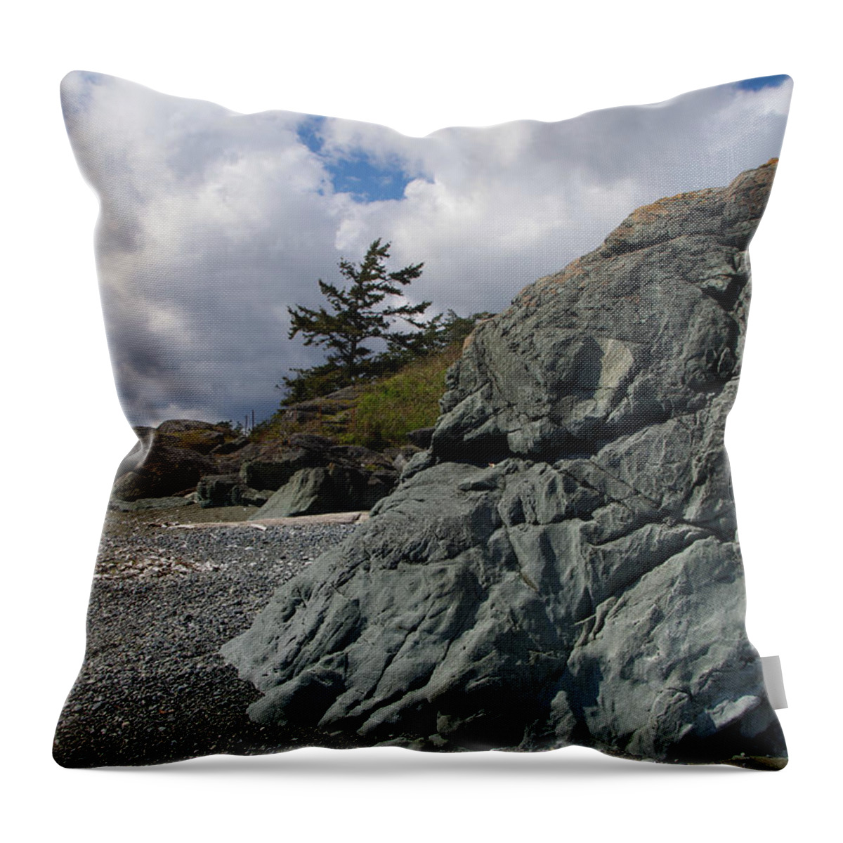 Beach Throw Pillow featuring the photograph Beach at Fort Rodd Hill by Marilyn Wilson