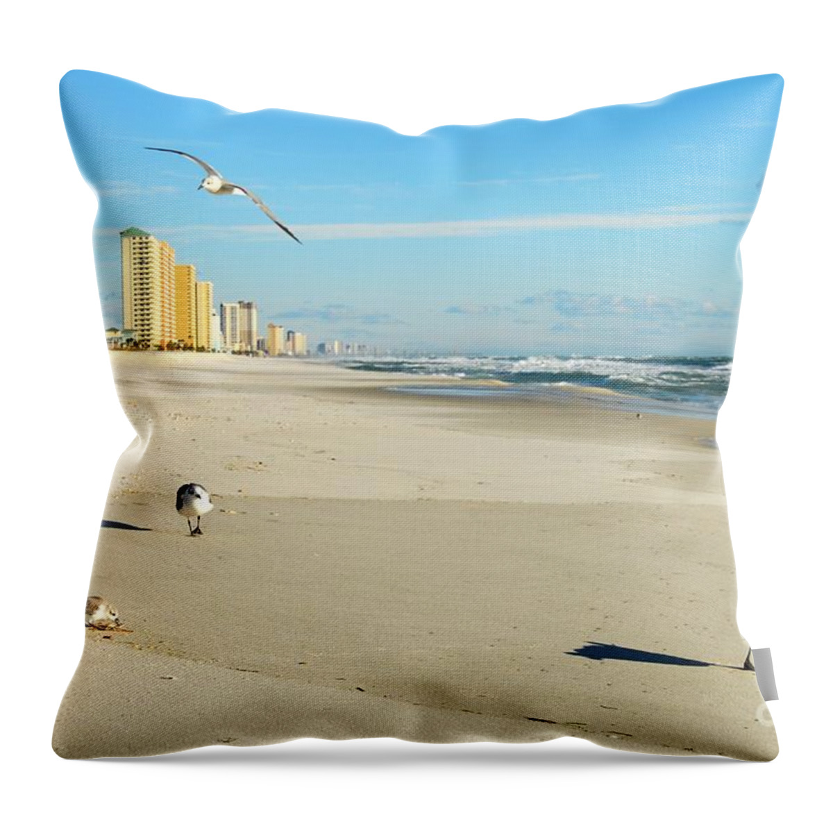 Gulf Of Mexico Throw Pillow featuring the photograph Beach Birds by Anthony Wilkening