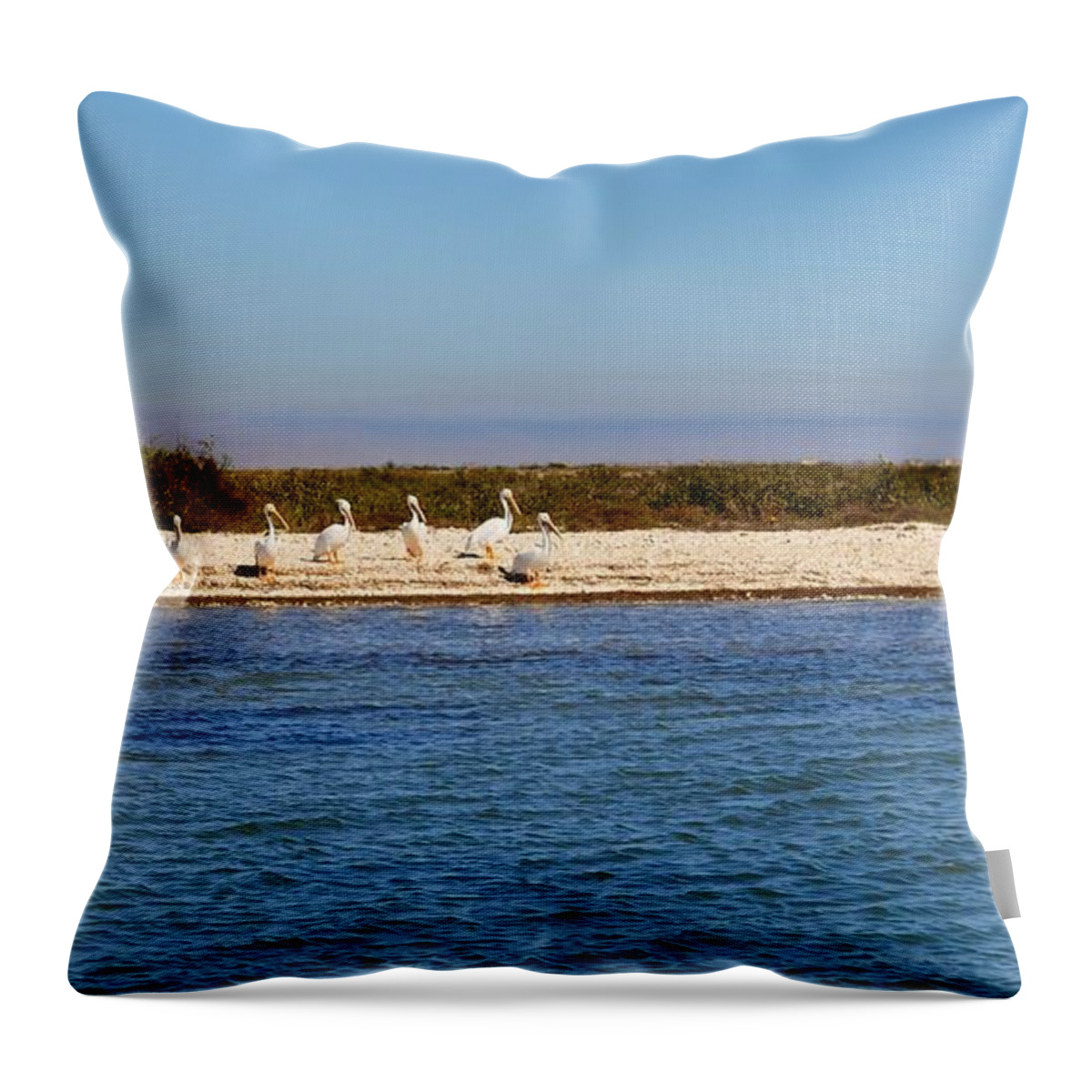 Beach Throw Pillow featuring the photograph Beach Birds by Kristina Deane