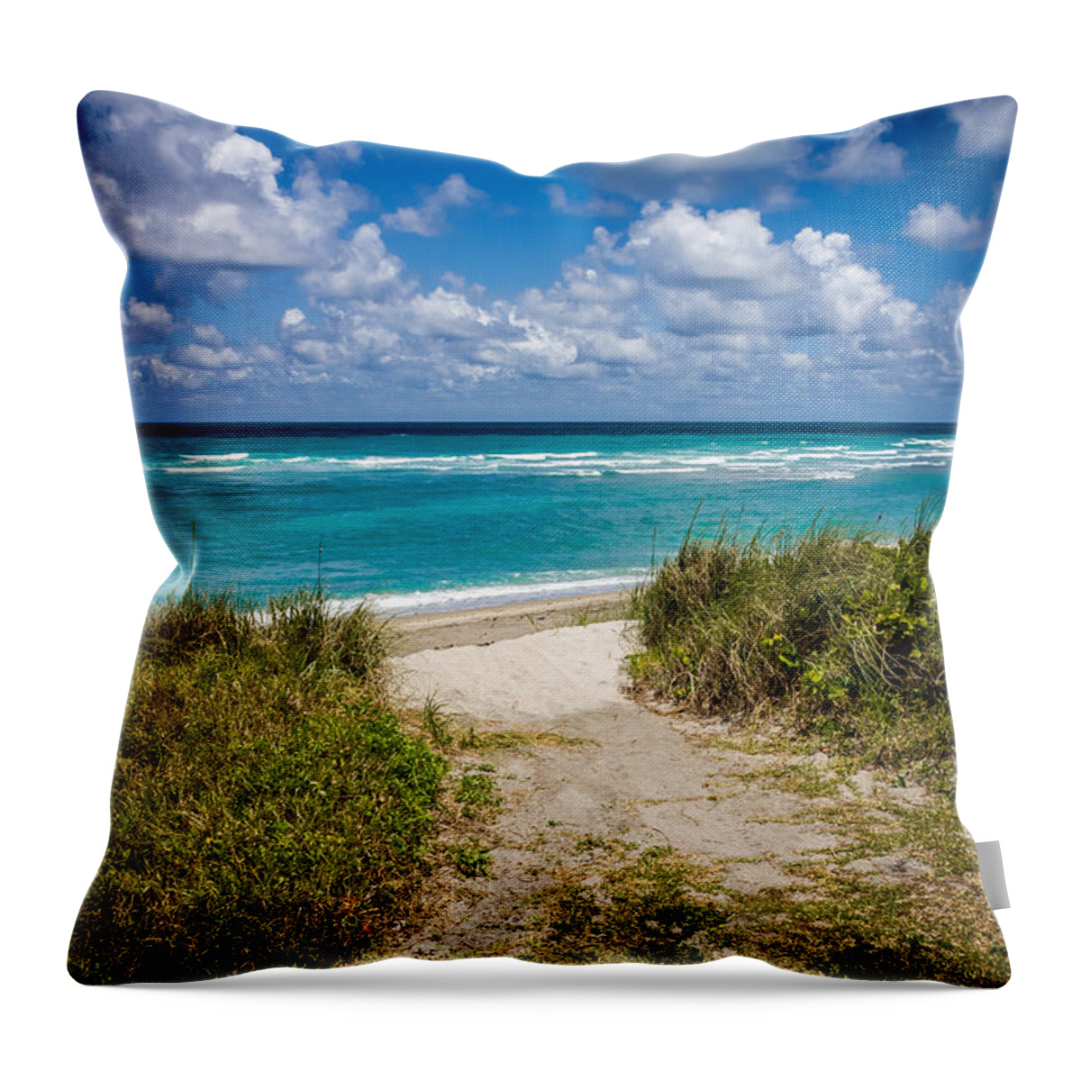 Beach Throw Pillow featuring the photograph Beach Day by Christopher Perez