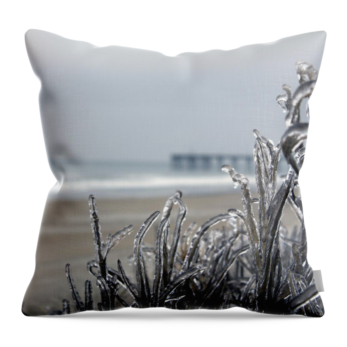 Frozen Beach Throw Pillow featuring the photograph Beach Glass by William Love