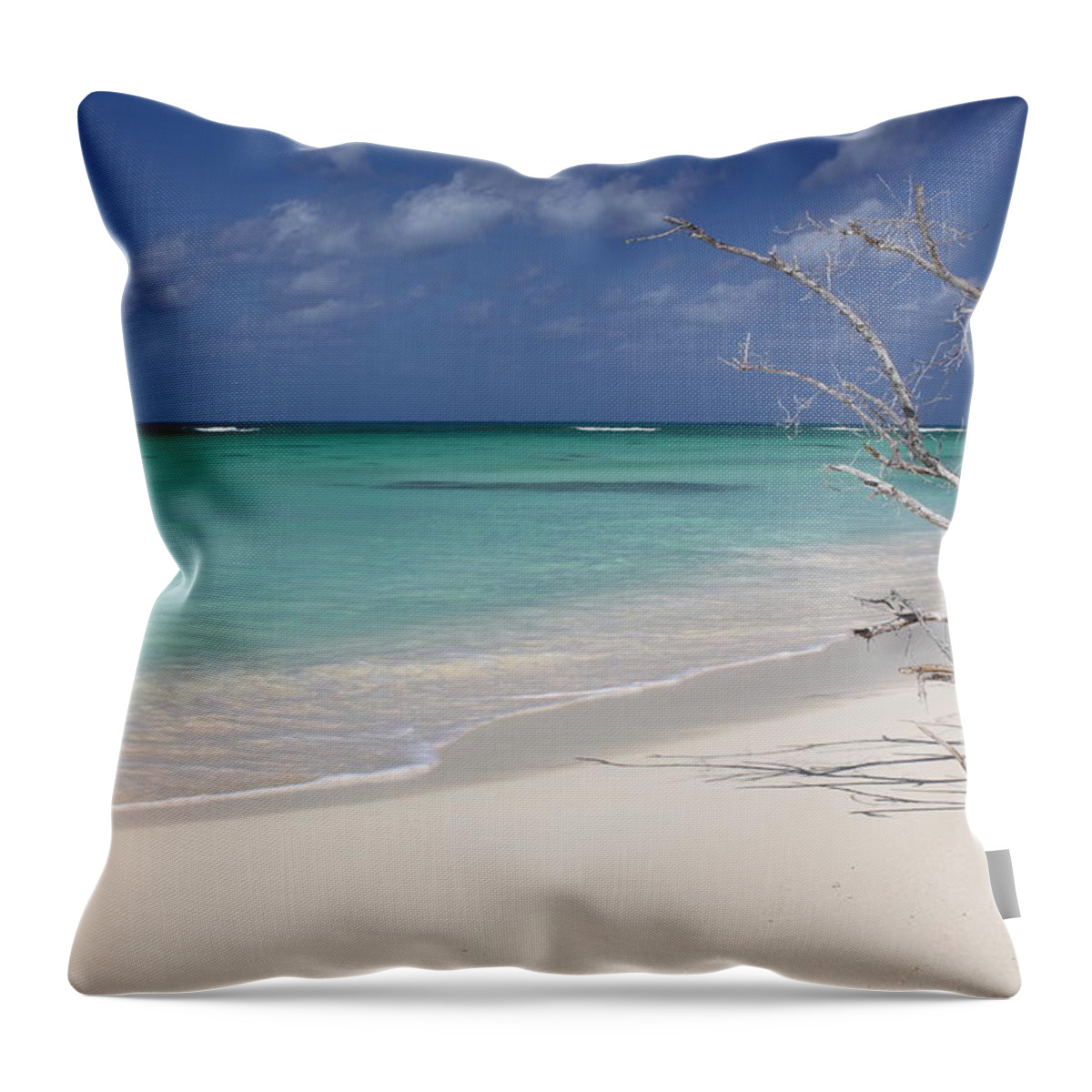 Beach Throw Pillow featuring the photograph Beach Music by Eric Glaser