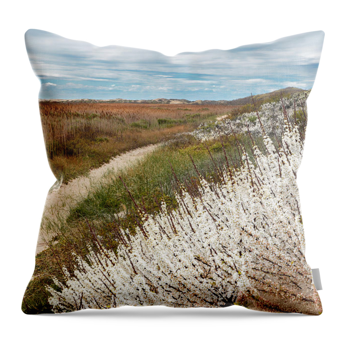 Cape Cod Throw Pillow featuring the photograph Beach Plums by Bill Wakeley