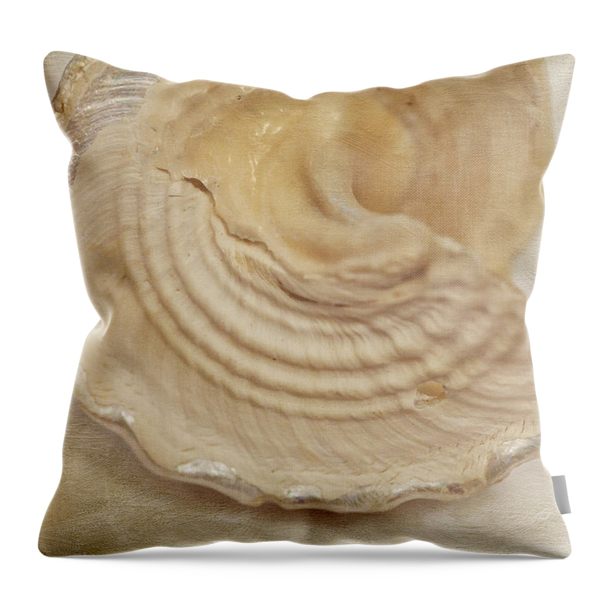 Seashell Throw Pillow featuring the photograph Beach Treasure by Bonnie Bruno