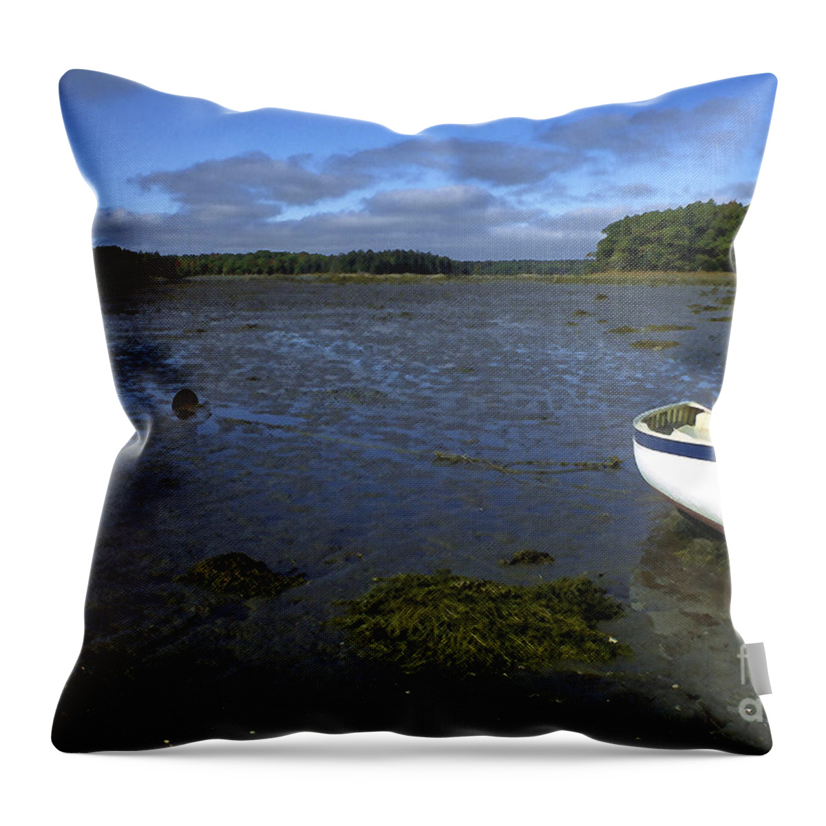 Deer Isle Throw Pillow featuring the photograph Beached Fishing Boat by Thomas R Fletcher