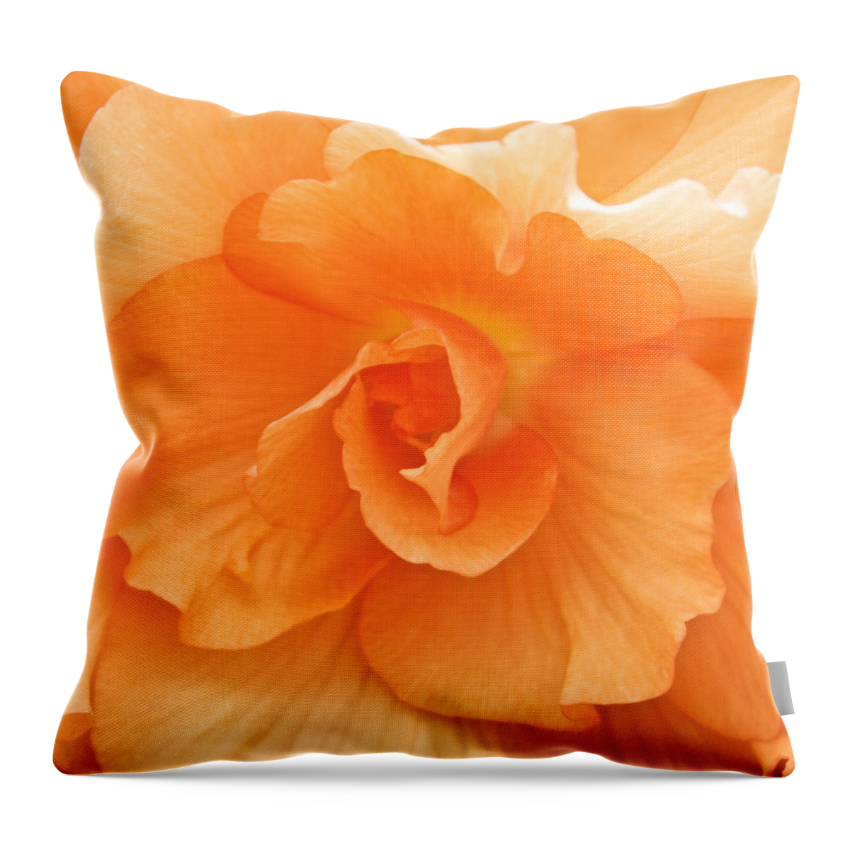 Begonia Throw Pillow featuring the photograph Begonia Beauty by Venetia Featherstone-Witty