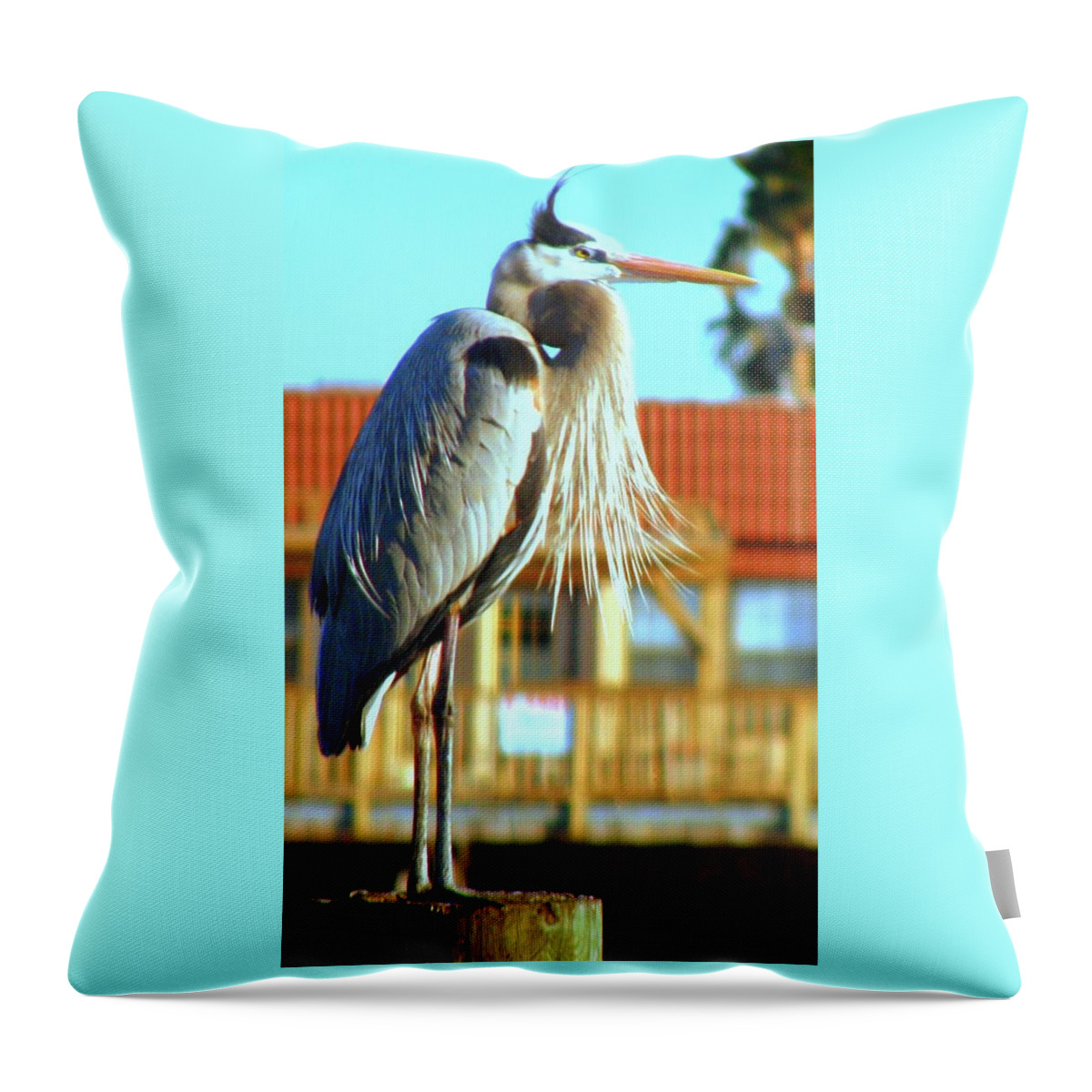Herons Throw Pillow featuring the photograph Bearded Great Blue Heron by Antonia Citrino