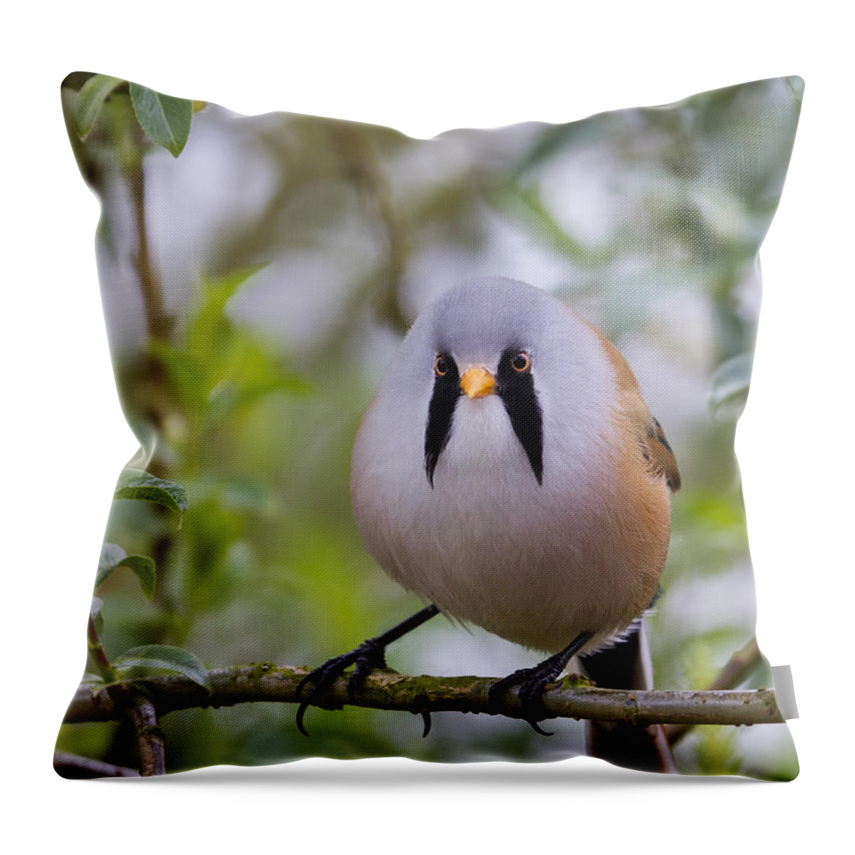 Bearded Tit Throw Pillow featuring the photograph Bearded Tit - 5 by Chris Smith