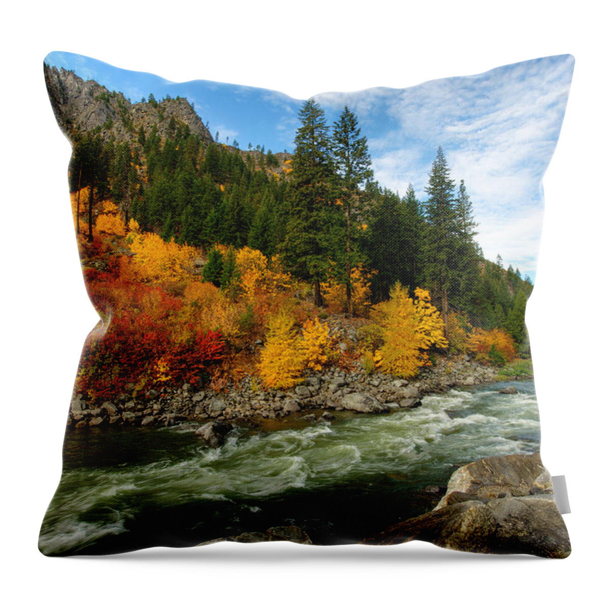 Fall Throw Pillow featuring the photograph Beautiful Autumn by Dan Mihai