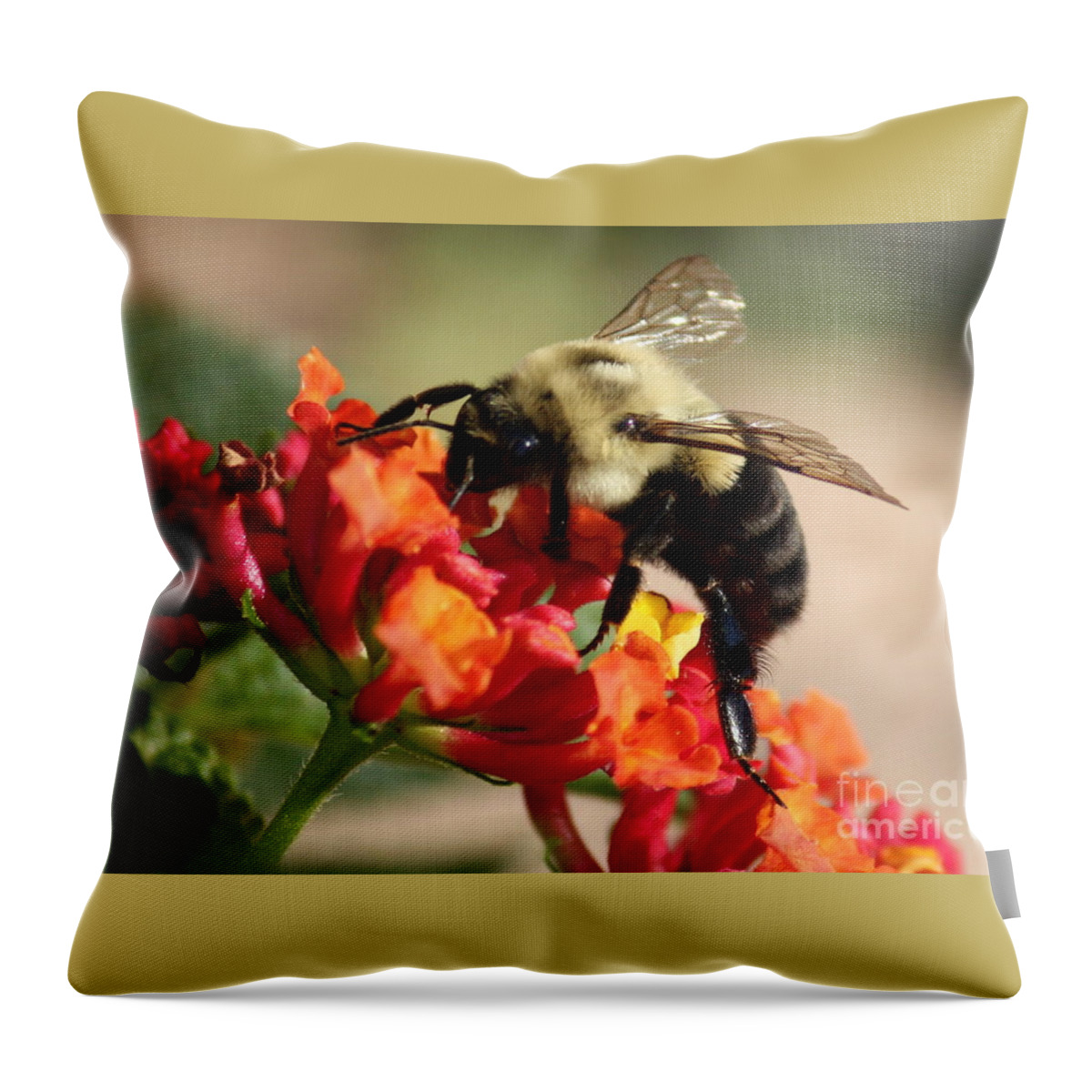 Bee Throw Pillow featuring the photograph Beautiful Bee by Carol Groenen