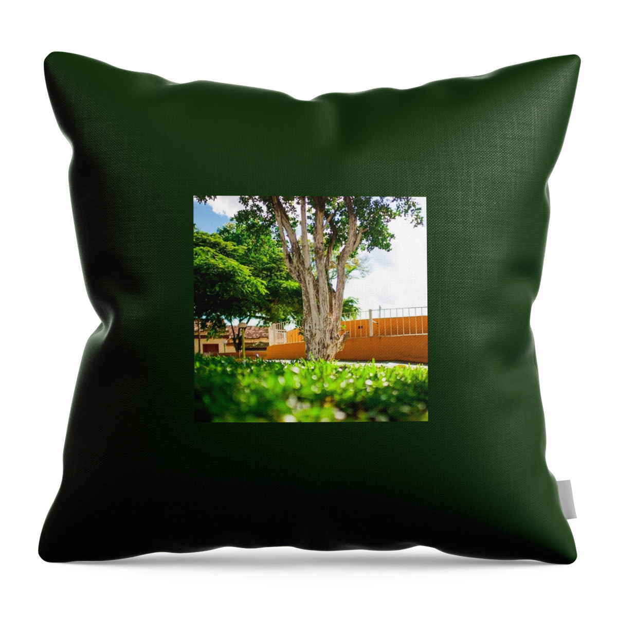 Beautiful Throw Pillow featuring the photograph Beautiful Brazil! by Aleck Cartwright