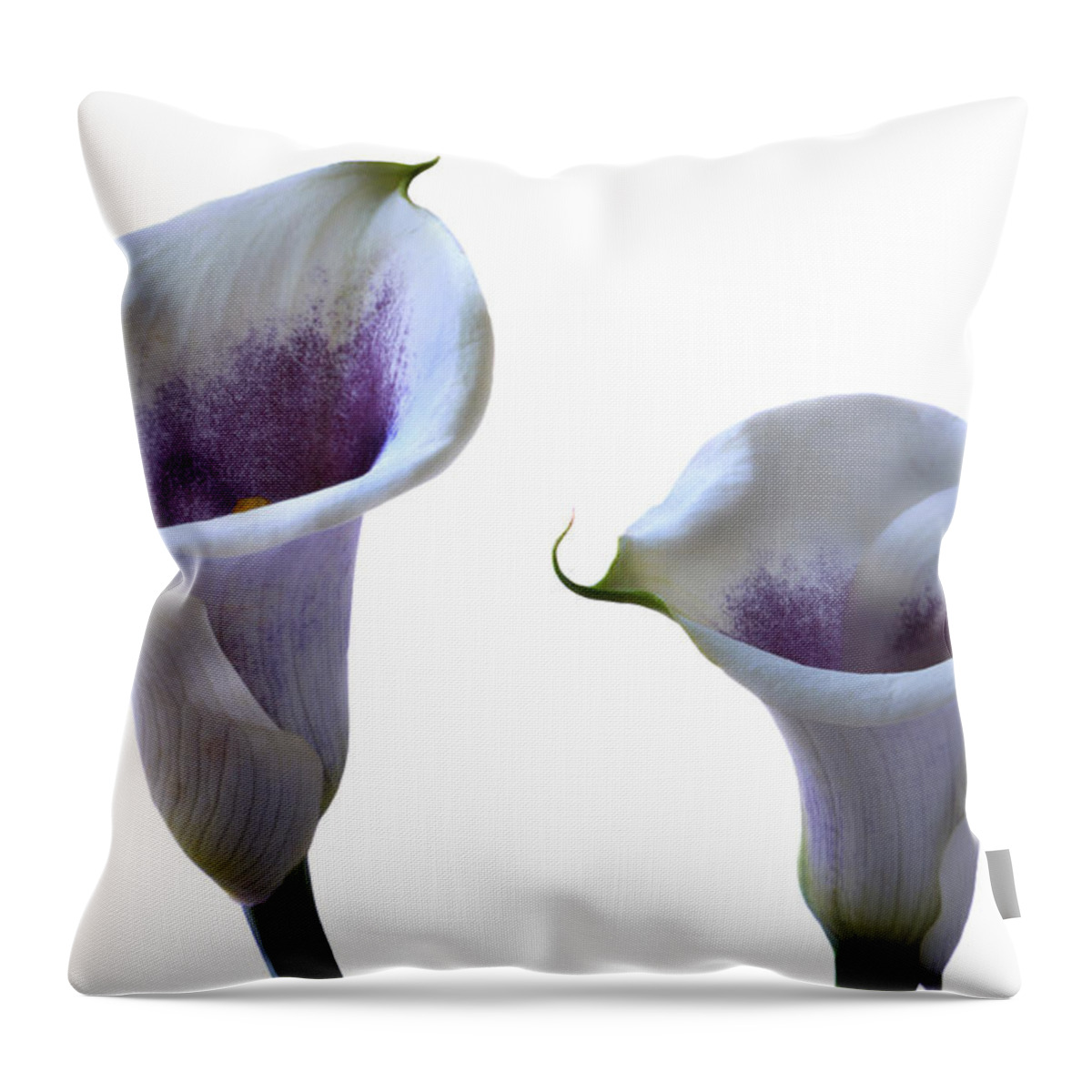 Calla Lily Throw Pillow featuring the photograph Beautiful Calla Lilies by Terence Davis