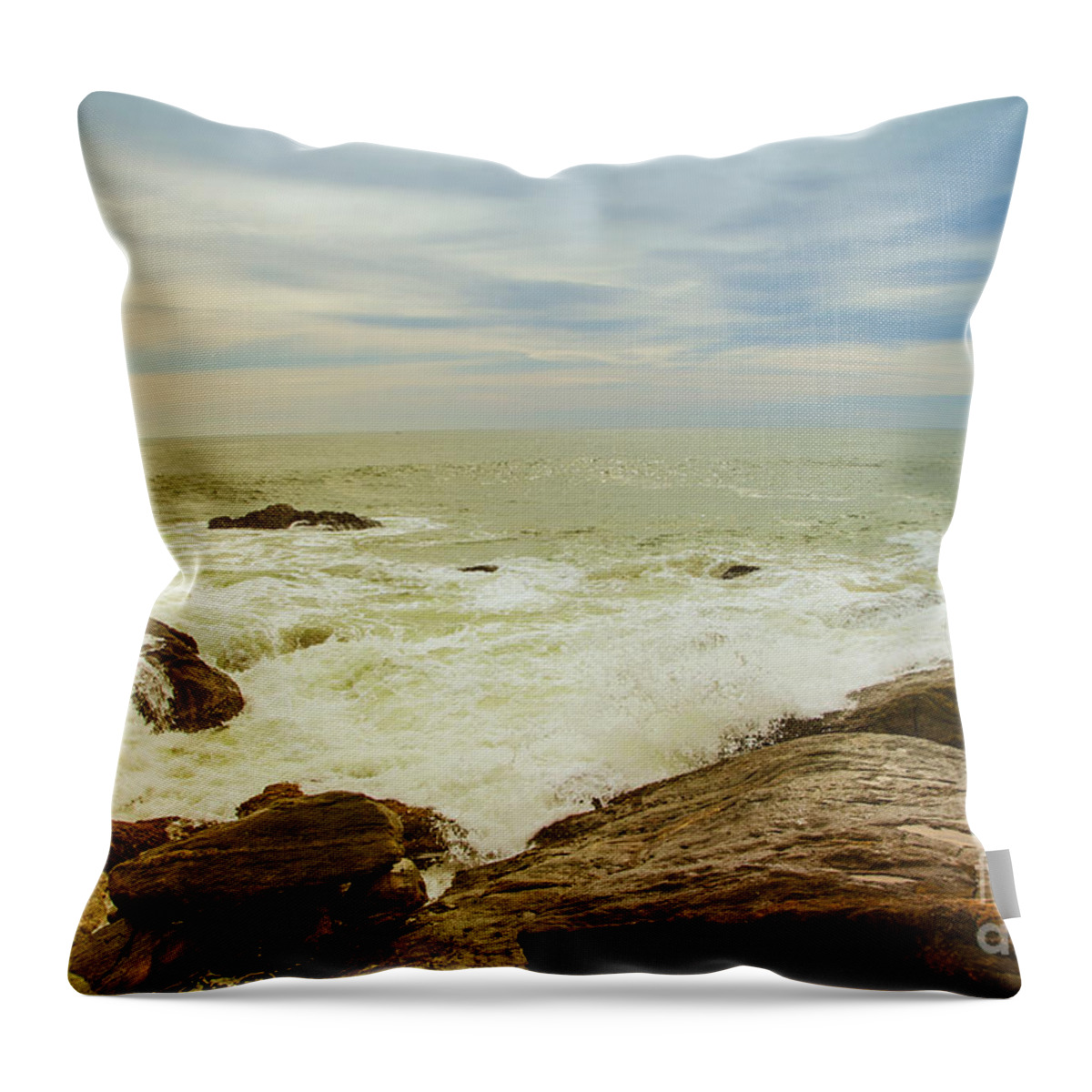 Water Throw Pillow featuring the photograph Beautiful Coastal Landscape by Gina Koch