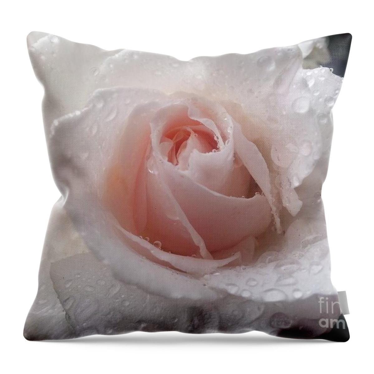 Rose Throw Pillow featuring the photograph Beautiful by Heather L Wright
