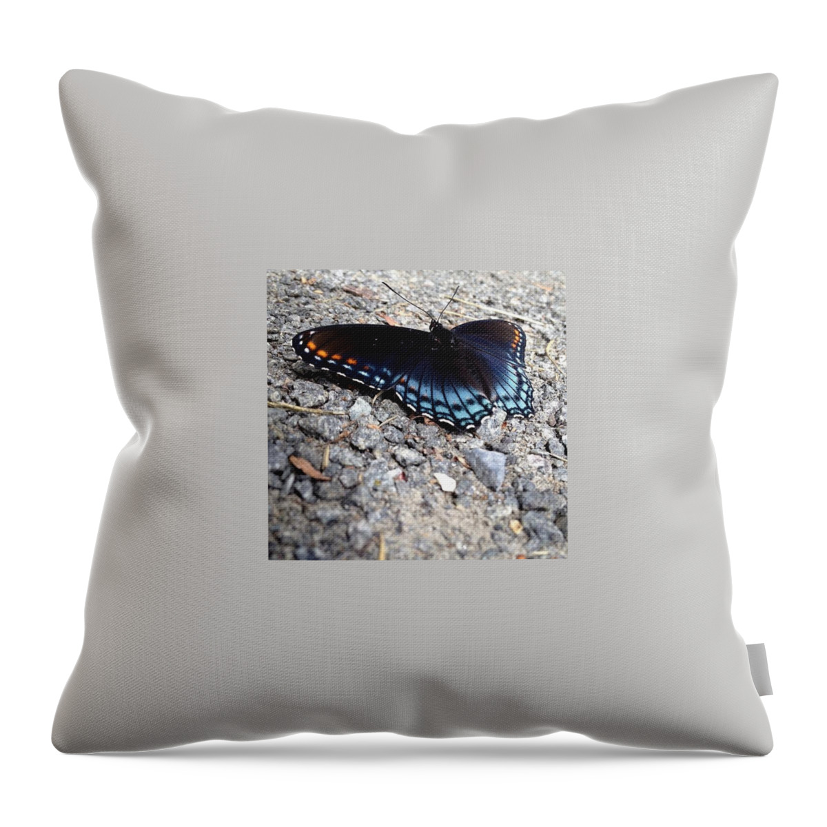 Beautiful Throw Pillow featuring the photograph Beautiful by Katie Cupcakes