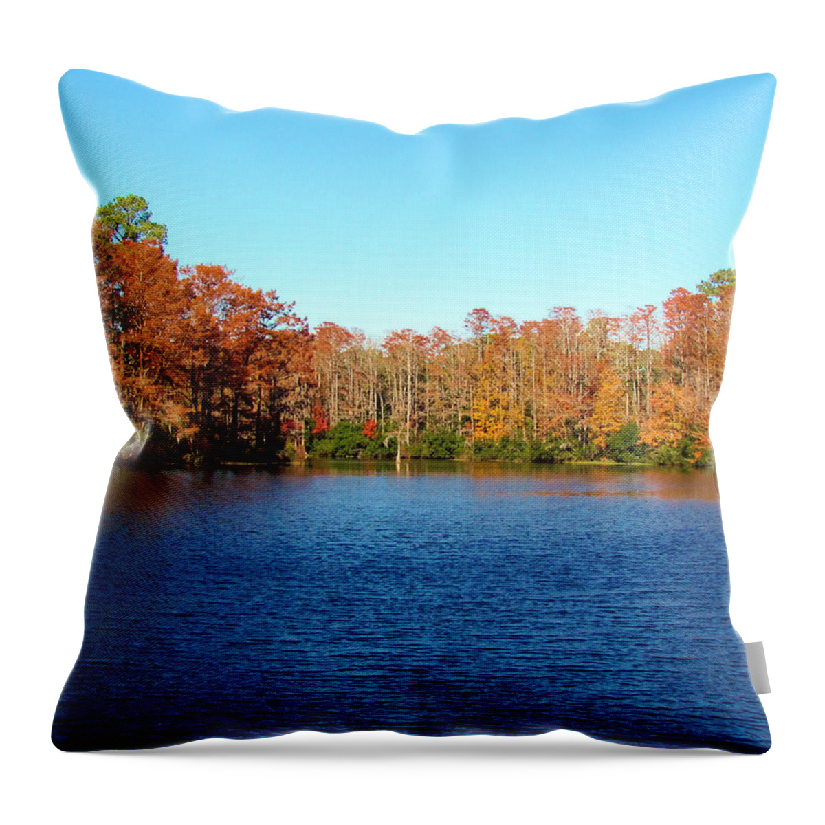 Water Throw Pillow featuring the photograph Beautiful Lake by Cynthia Guinn