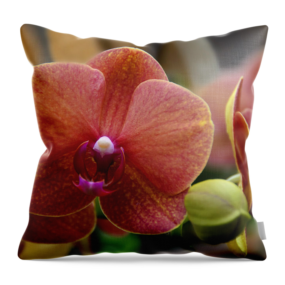 Beautiful Throw Pillow featuring the photograph Beautiful Moth Orchid by Penny Lisowski