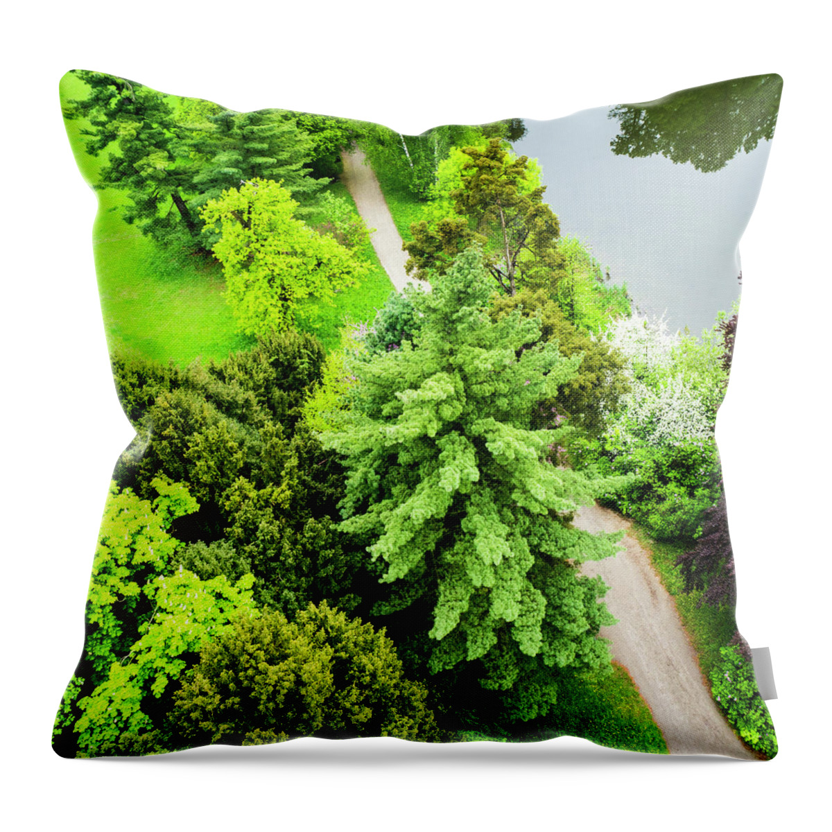 Scenics Throw Pillow featuring the photograph Beautiful Park With Trees, Grass by Domin domin