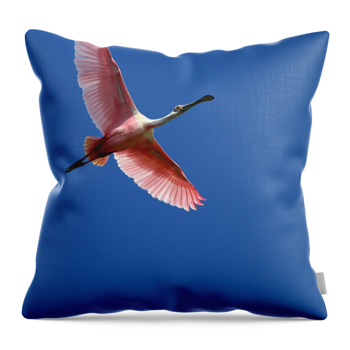 Winter Throw Pillow featuring the photograph Beautiful Pink Roseate Spoonbill by Sabrina L Ryan