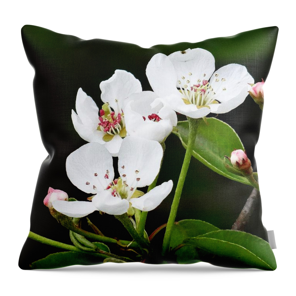 Bloom Throw Pillow featuring the photograph Beautiful spring bloom by Karin Ravasio