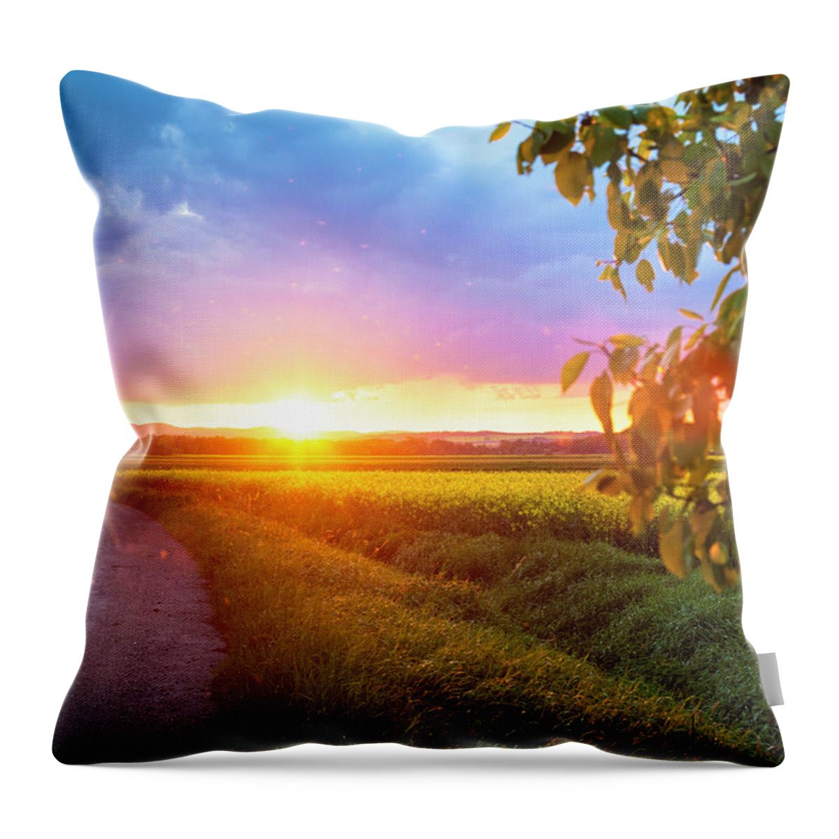 Scenics Throw Pillow featuring the photograph Beautiful Sunset by Brzozowska