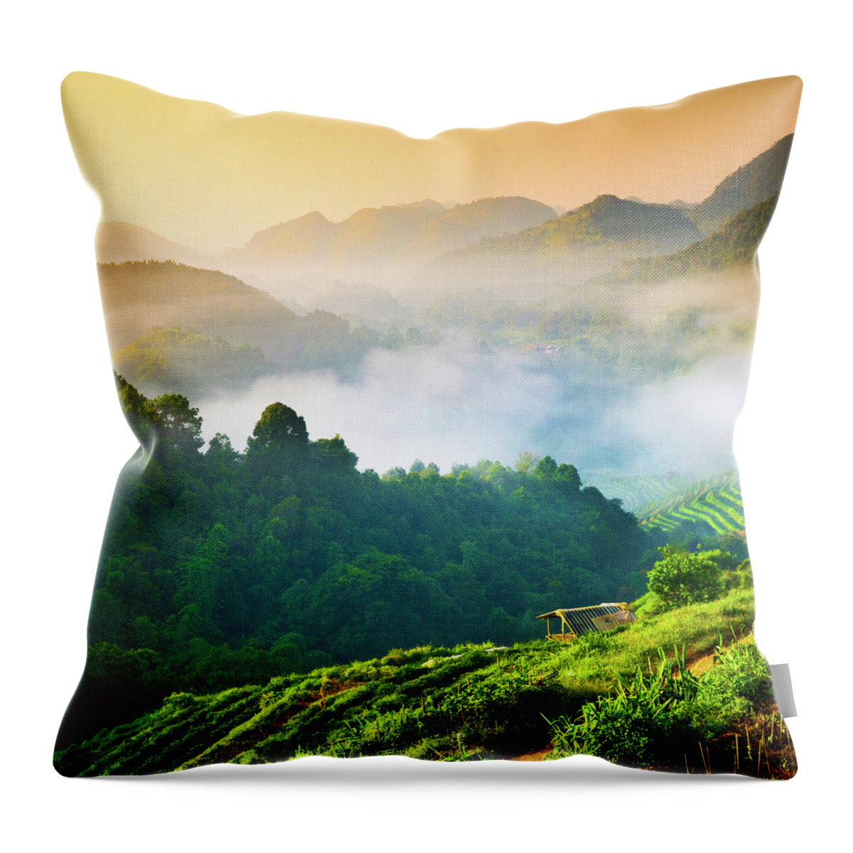 Scenics Throw Pillow featuring the photograph Beautiful Sunshine At Misty Morning by Primeimages